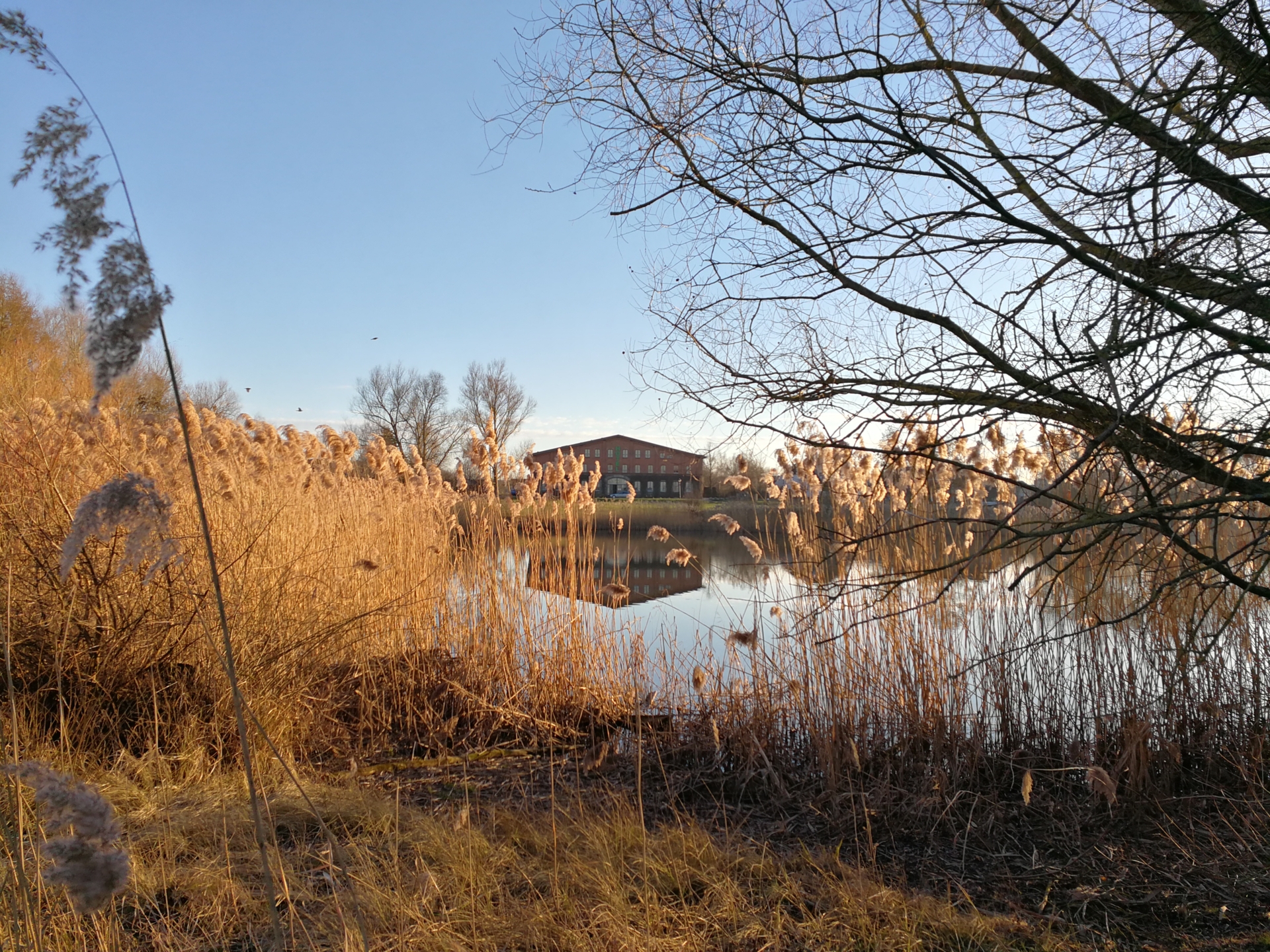 Blick auf die Scheune - Bollewick Teich