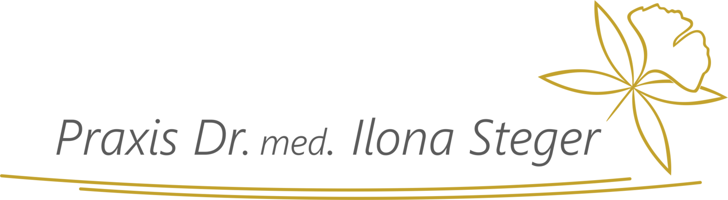 Logo Steger