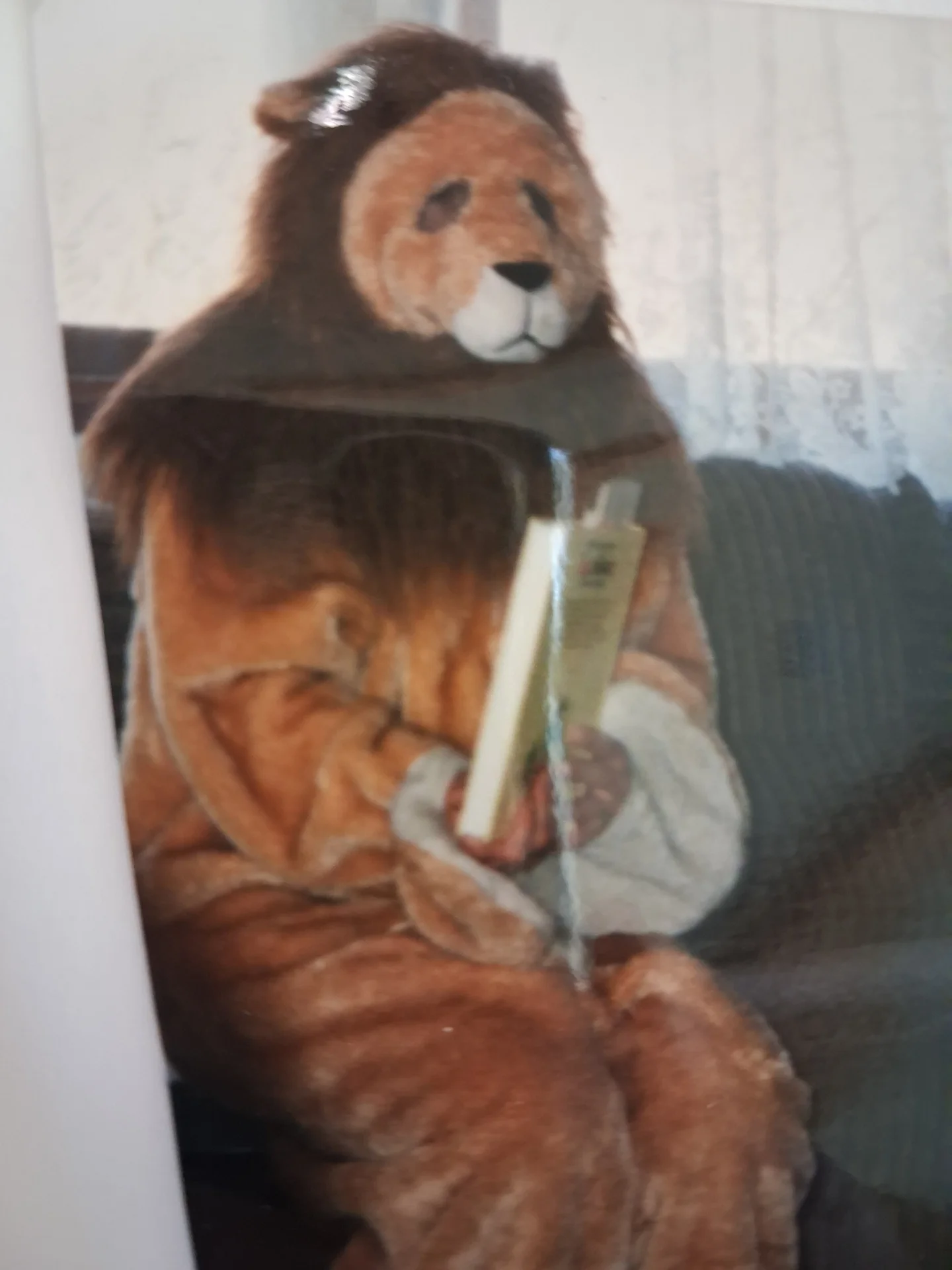 Bücherlöwe