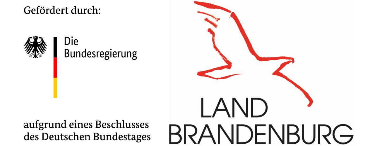Logo Bundesregierung_Land
