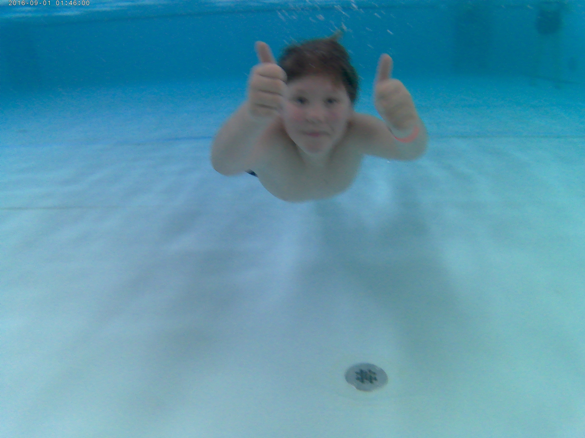 Nautilla