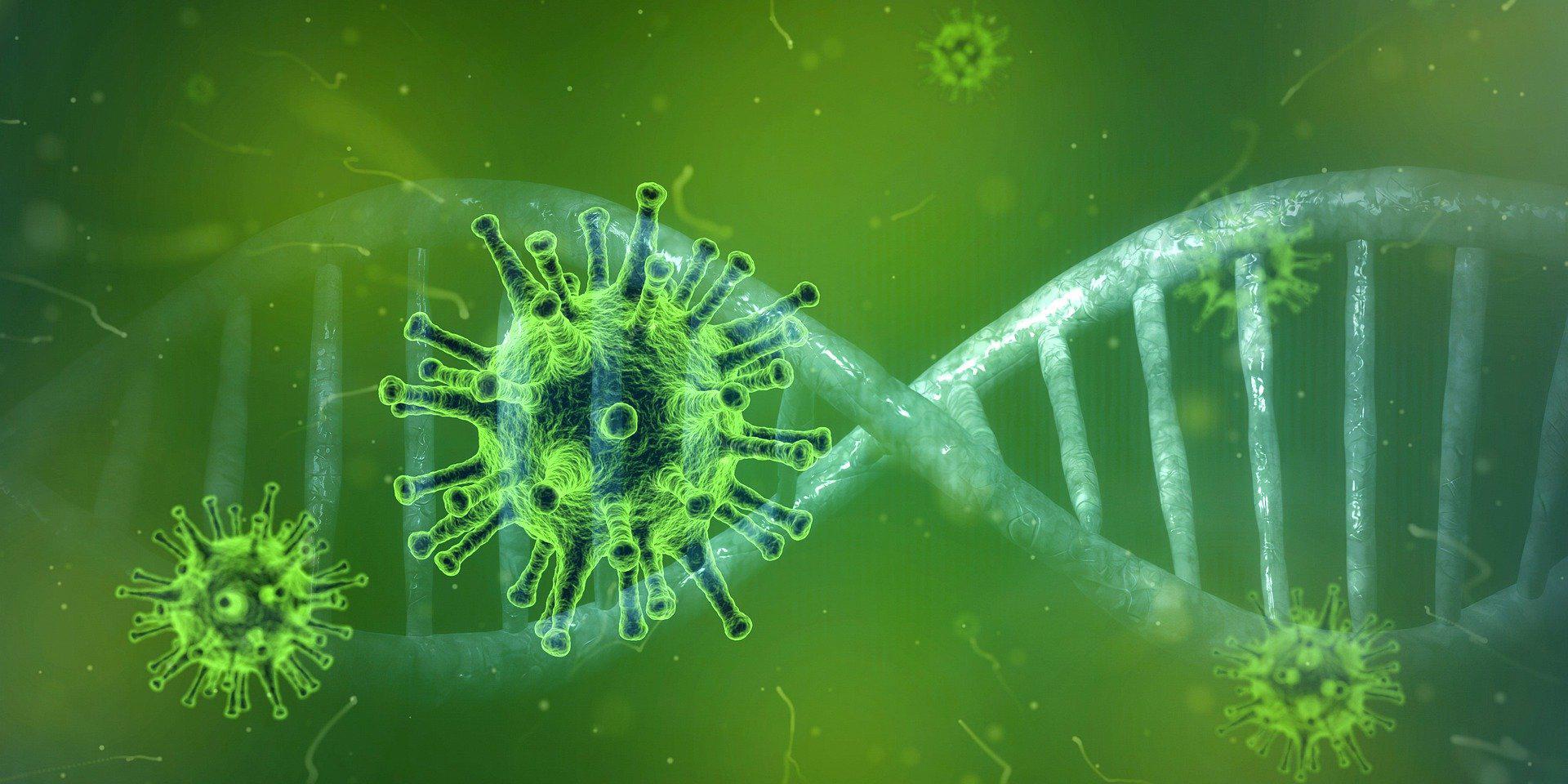 Coronavirus © pixabay.com