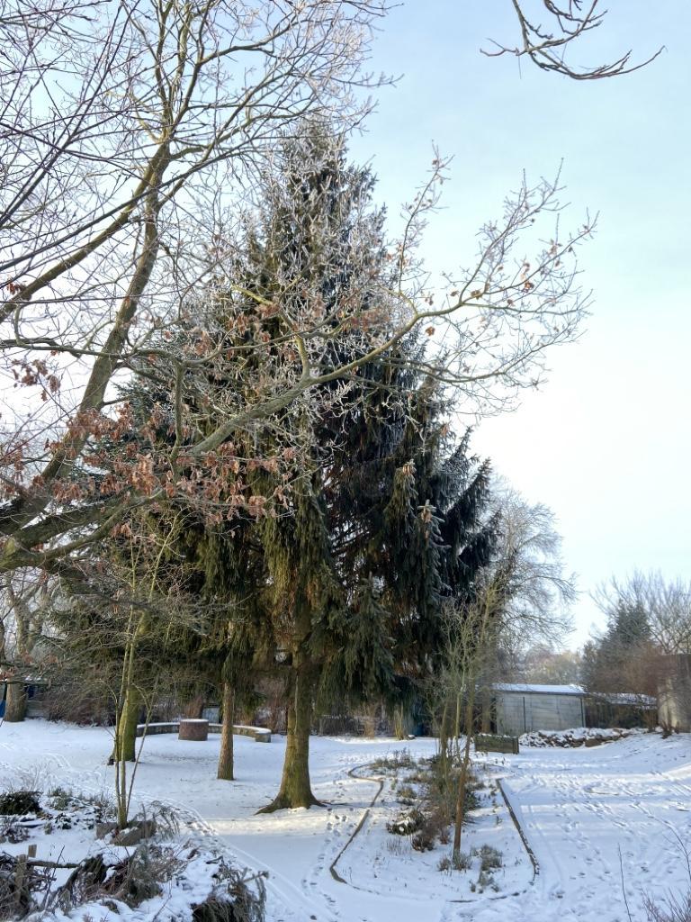 Schulgarten im Winter Schulgarten im Winter