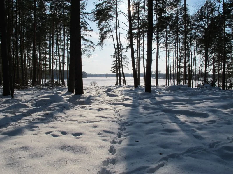 Winterlandschaft