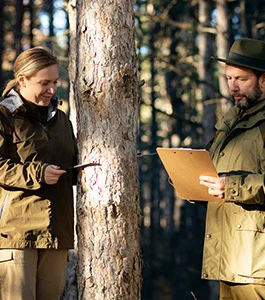 parkwachter-im-wald-hautnah
