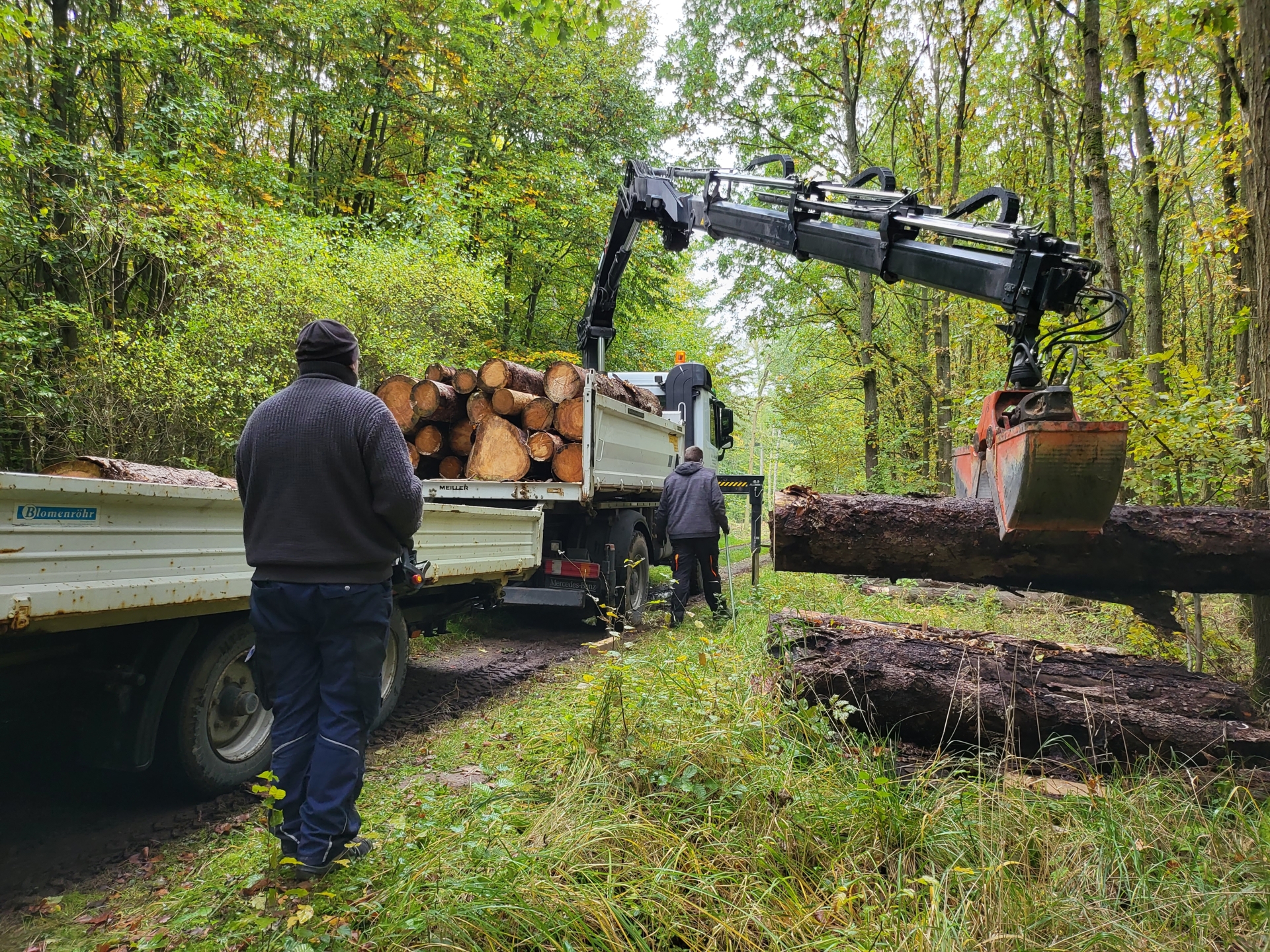 Holz für den Speicher