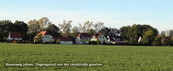 Rosenweg von Süd