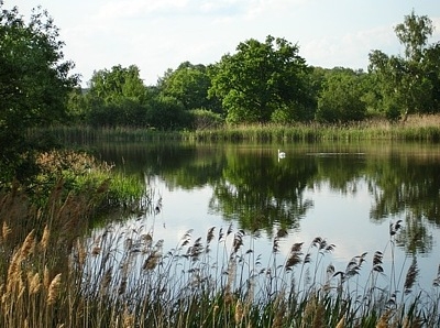 Döbra Seen