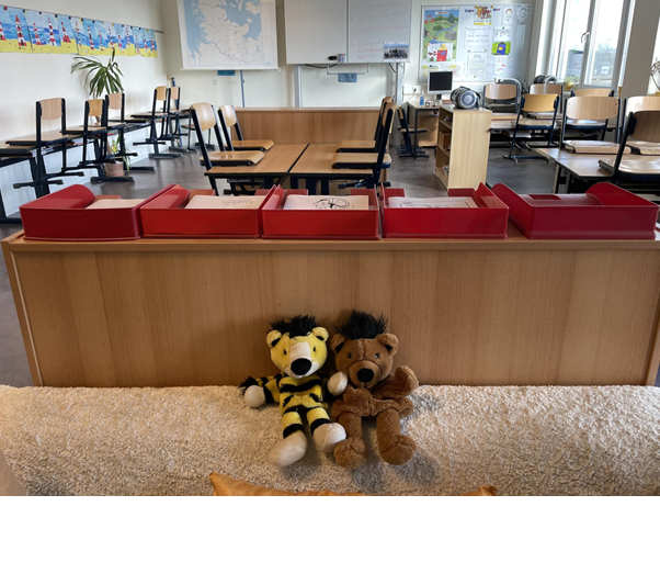 Tiger & Bären