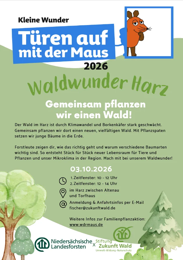 Waldwunder