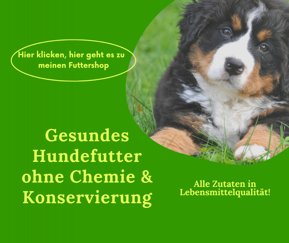 Gesundes Hundefutter, vitalbasic.de