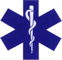 Logo_RettungsambulanzGreiz