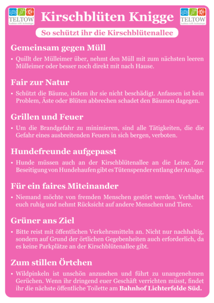 Kirschblüten_Knigge