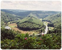 Ardennen Landschaft