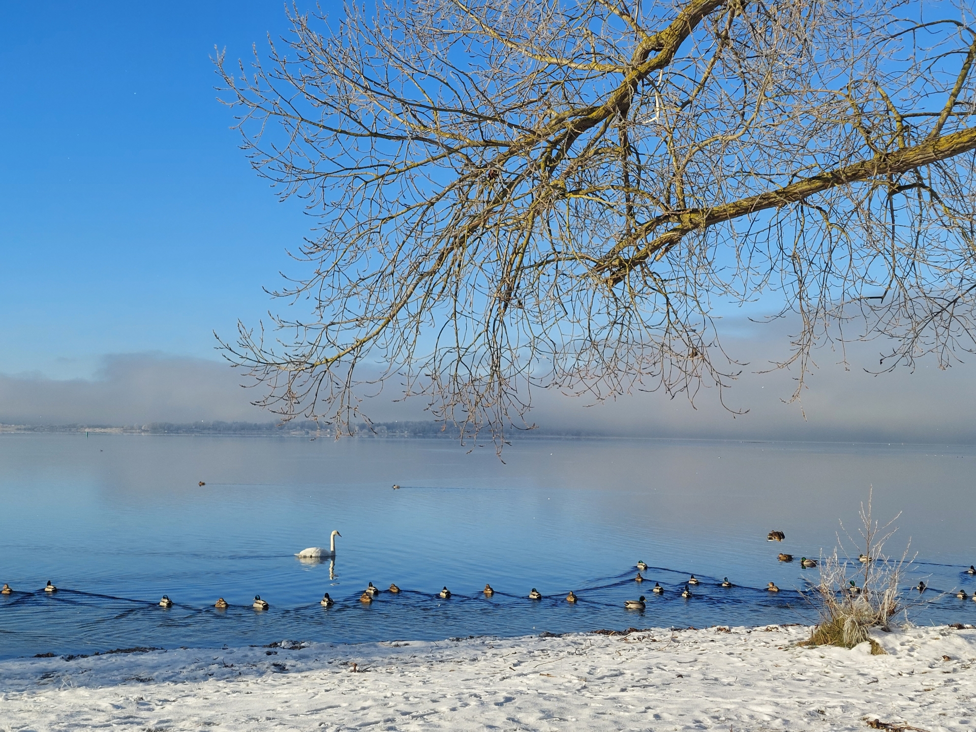 Winter