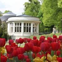 2018_05_03_bl_bepflanzung_fj_hist_kurpark_wandelhalle_600x400_300dpi_foto_stadt_frei-2