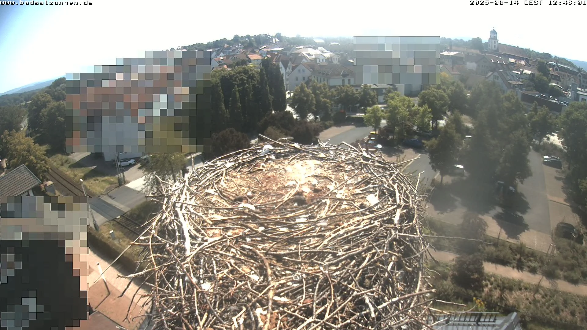 storchennest