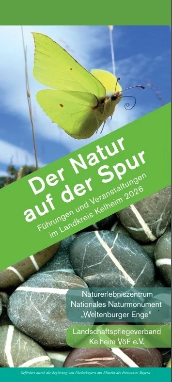 Deckblatt des Flyers "Der Natur auf der Spur" zu sehen ist der Schriftzug und ein gelber Schmetterling der schräg auf den Zuschauer zufliegt. Im unteren Bereich sind Steine und der Hinweis auf den Landschaftspflegeverband und das Nationale Naturmonument als Herausgeber zu sehen.