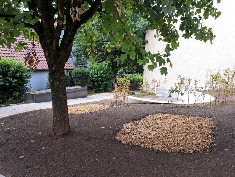 Baum mit Laub im Vordergrund, umgeben von kahler Erde und zwei Flächen mit Holzspänen neben einem weißen Gebäude
