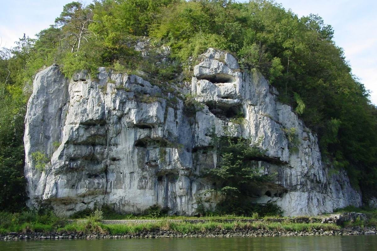 Felswand mit mehreren Höhlen und darüber Wald am Ufer eines Gewässers