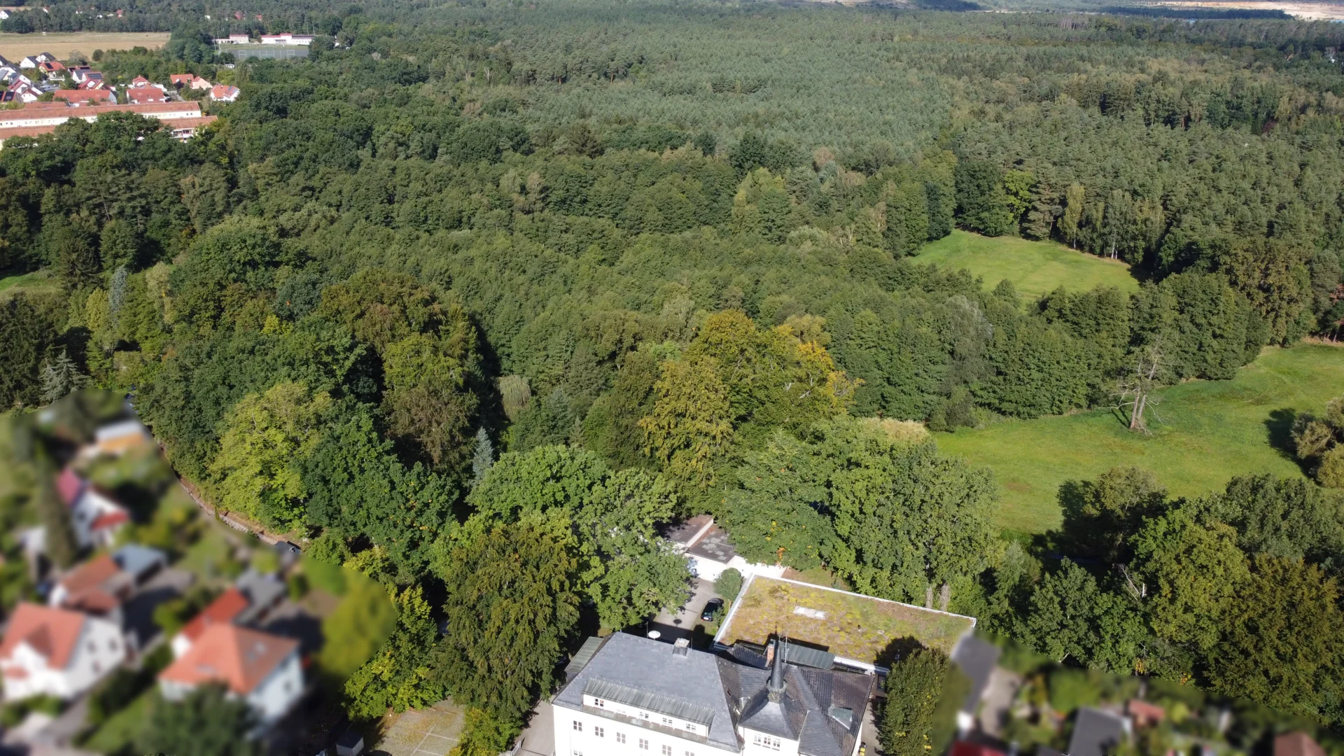Drohnenfoto vom Waldgrundstück