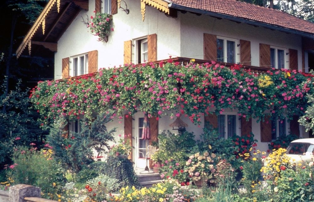 BlumenHaus80er