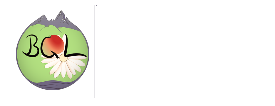 Logo Kreisverband weiß