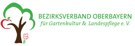 logo-bv-website
