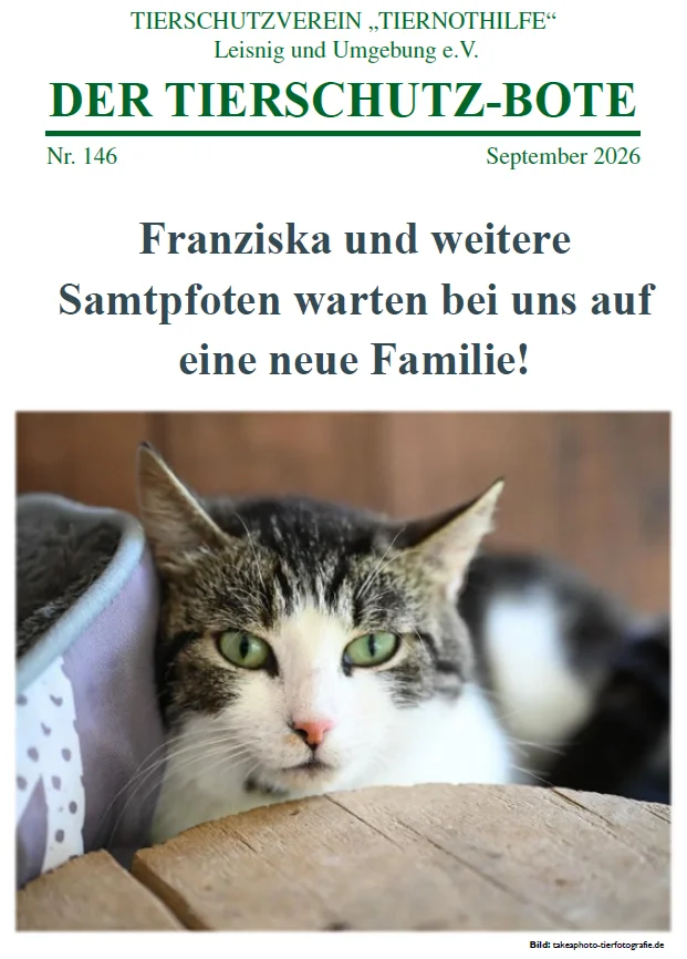Titelbild TSB 146
