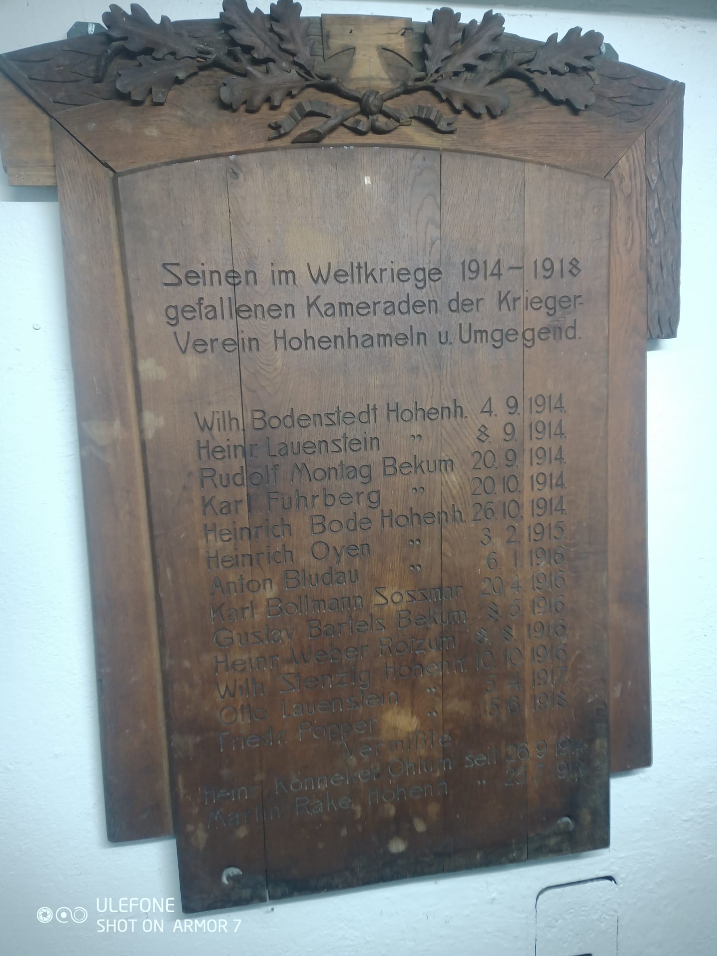 Abbildung 3: Gefallene Weltkrieg 1