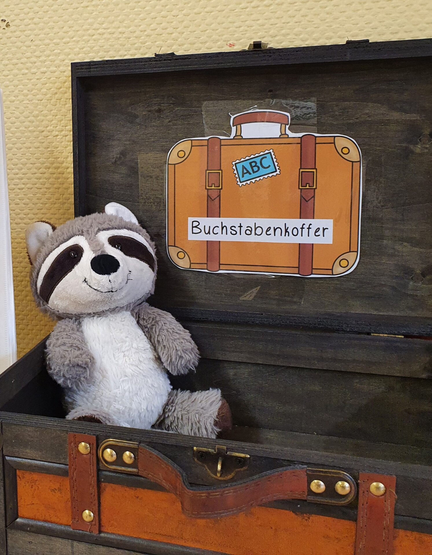 Buchstabenkoffer und Waschbärkuscheltier