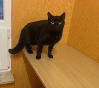 Jack