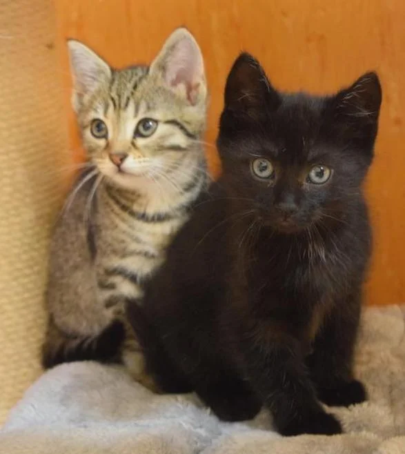 Lia und Mina