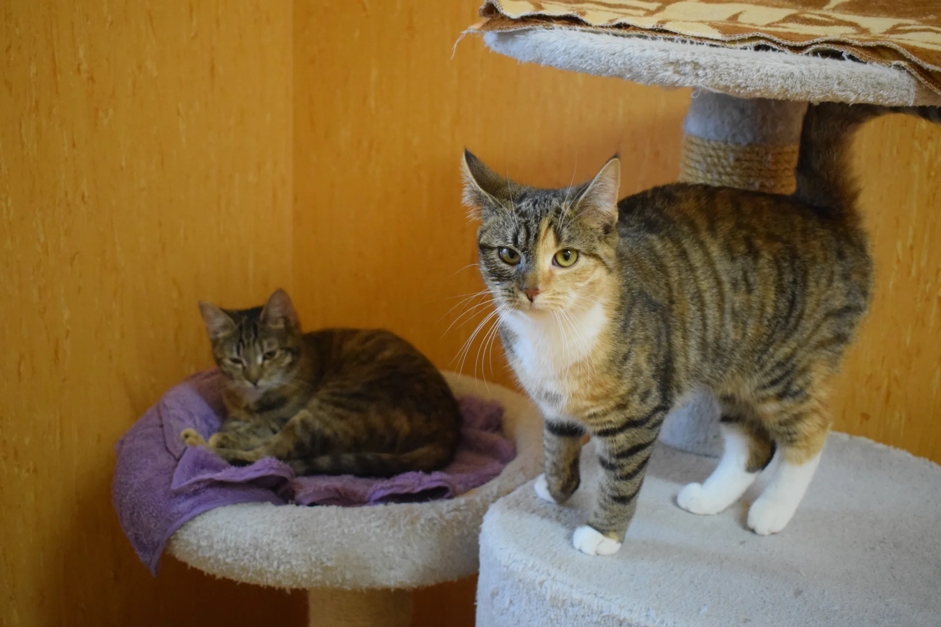 Lisa & Luzi