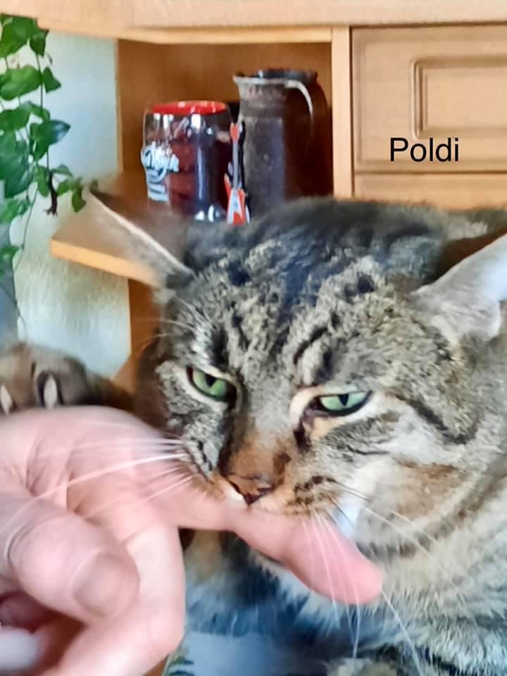 Poldi