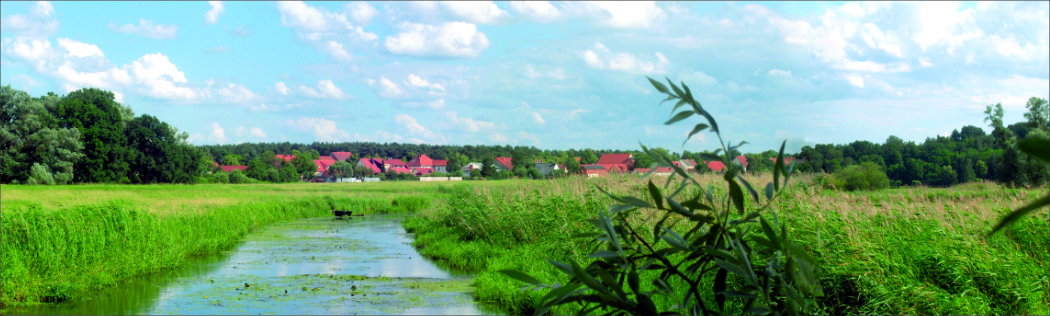 Stremme (c) Winfrid Ganzer