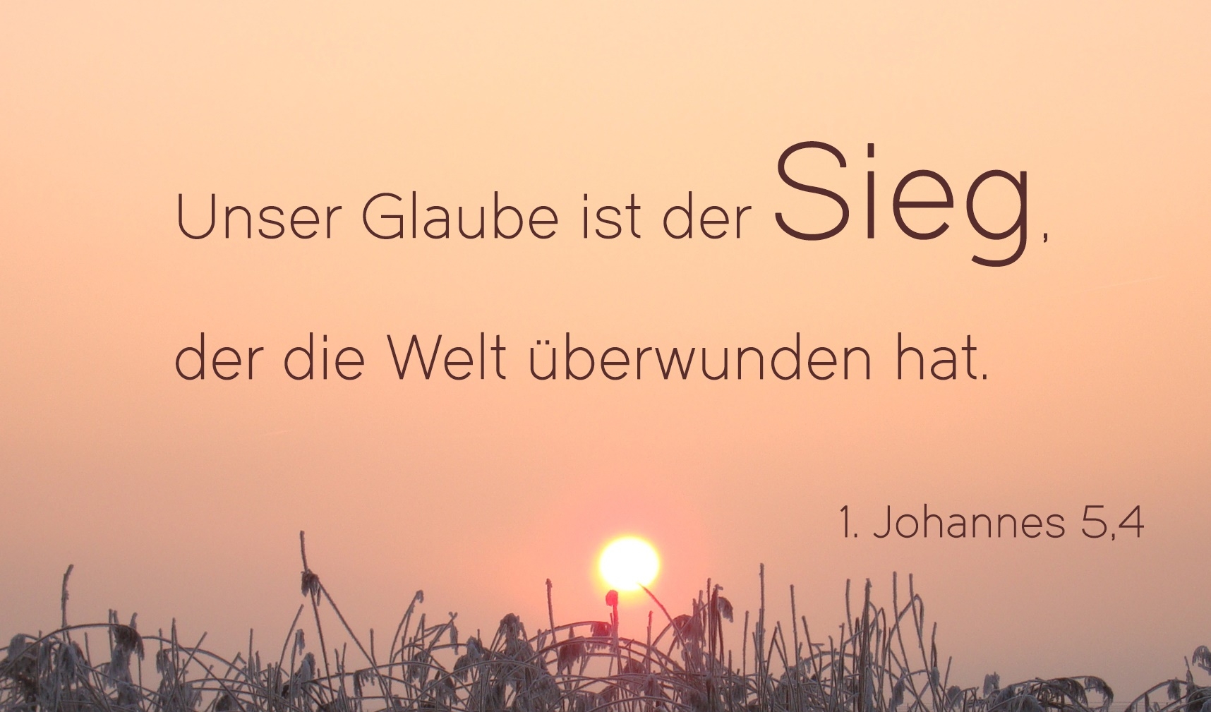 1. Joh. 5,4-crop
