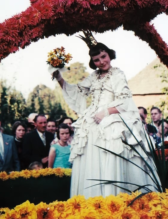 Dahlienkönigin 1956