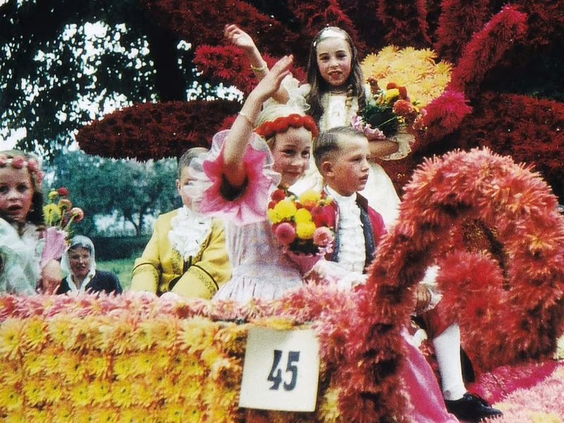 Dahlienkönigin 1958