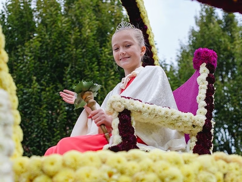 Dahlienkönigin 2017