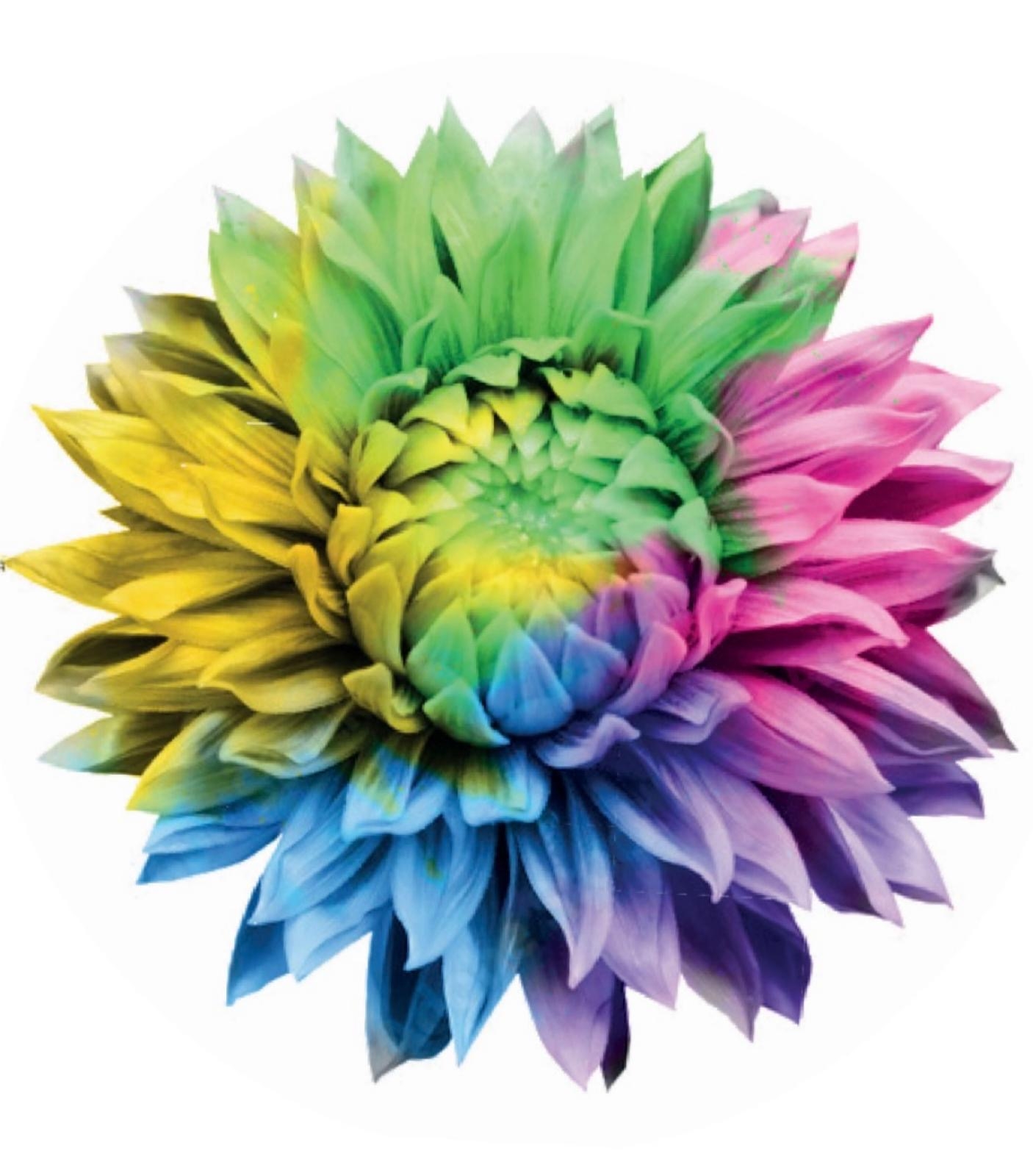 Dahlie logo