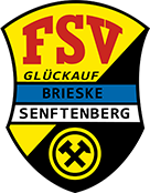 Logo-FSV-Glückauf-footer