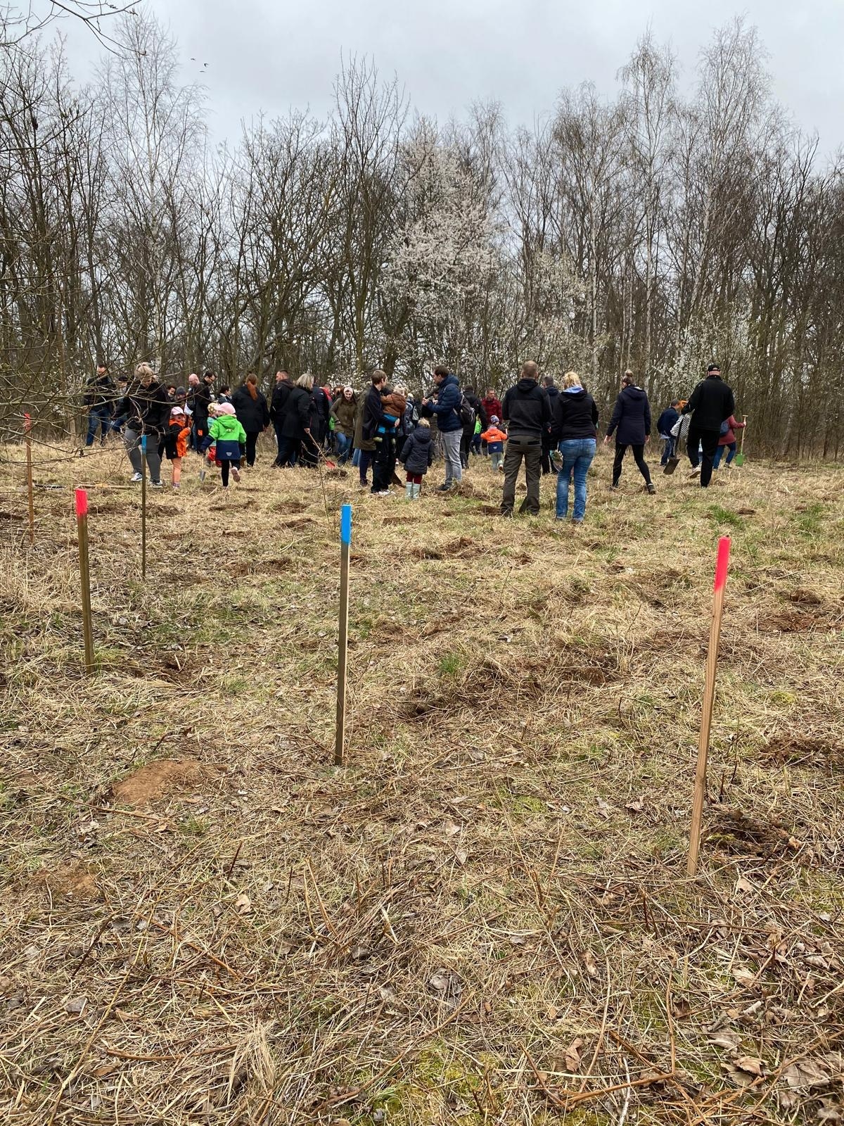 Baumpflanzaktion 29.03.2025