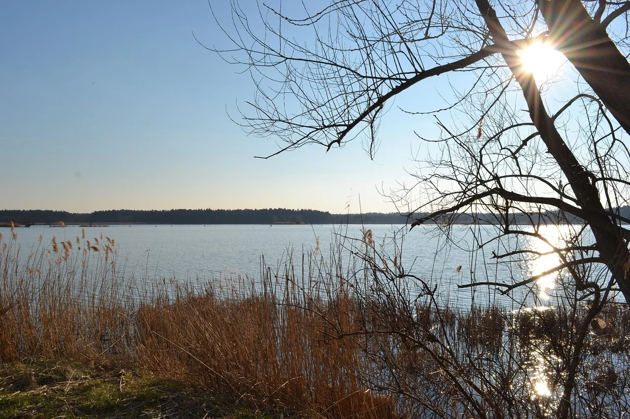 Seelandschaft