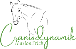 logo-craniodynamik-marion-frick