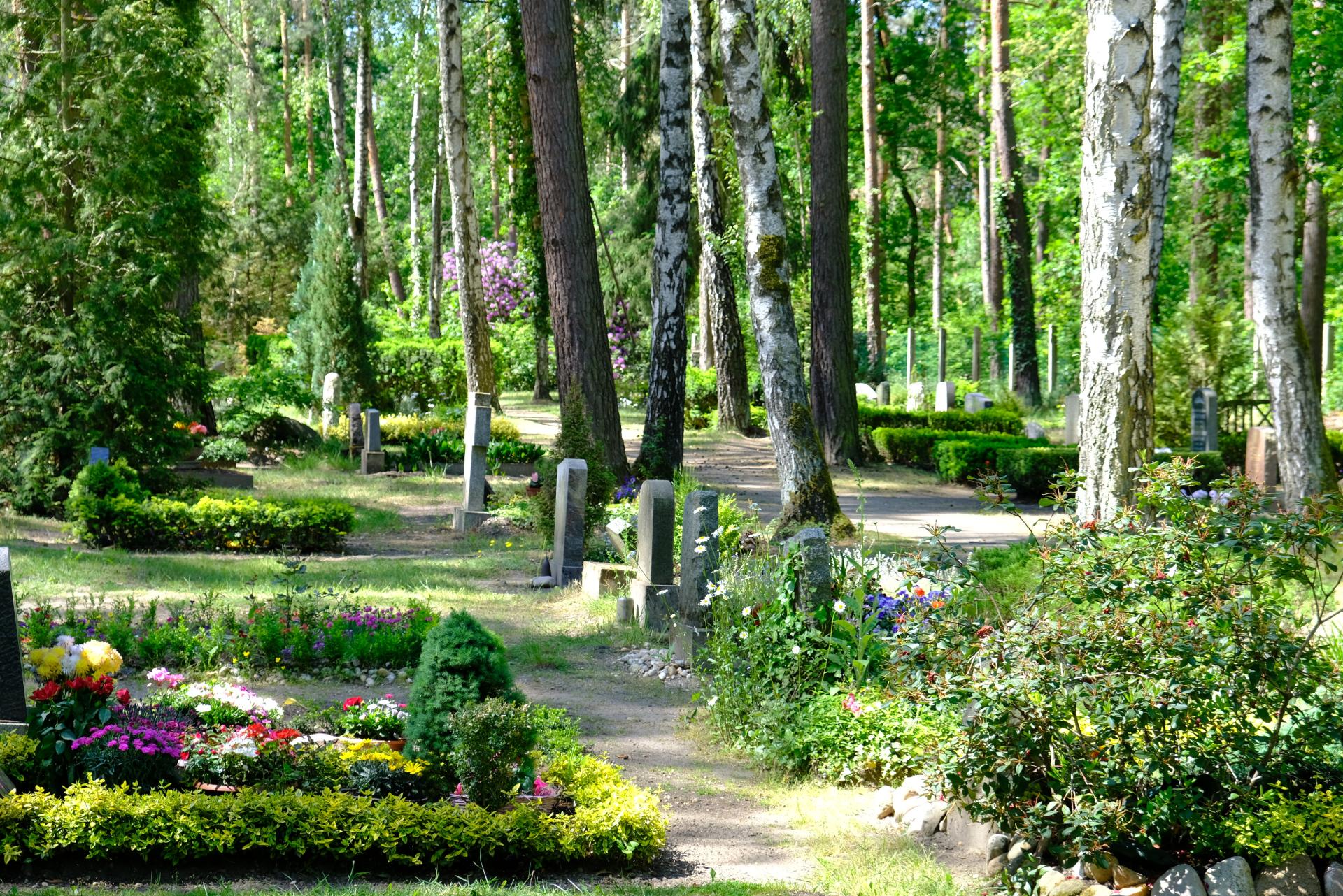 Blick über den Waldfriedhof und weitere Bilder