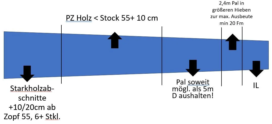 Nadelholzaushaltung2