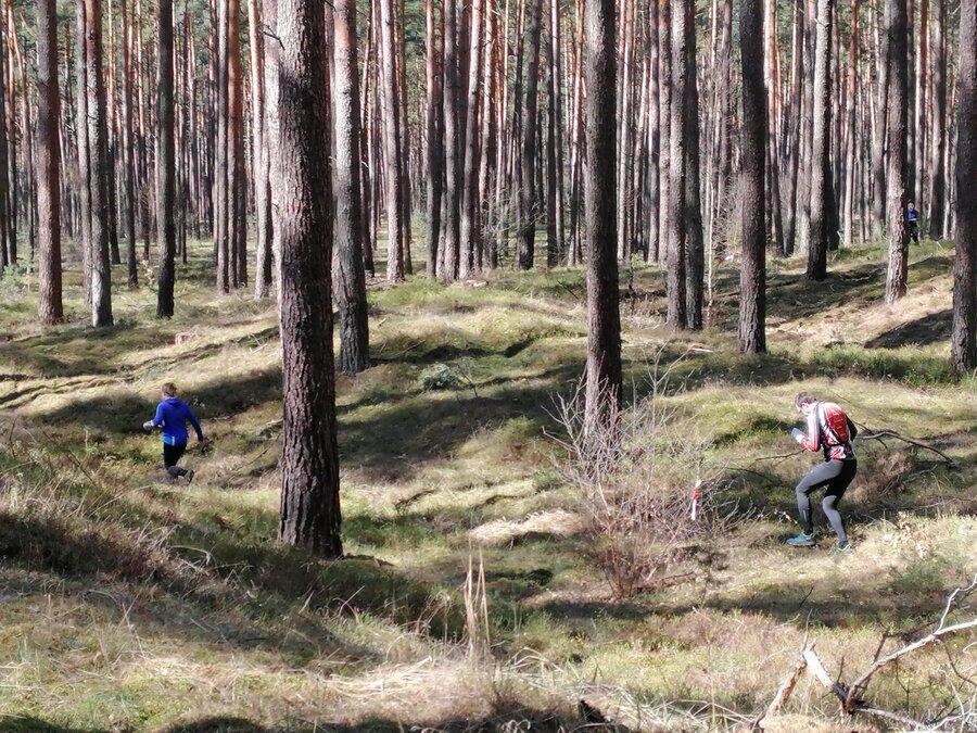 Schorfheide Biathlon OL