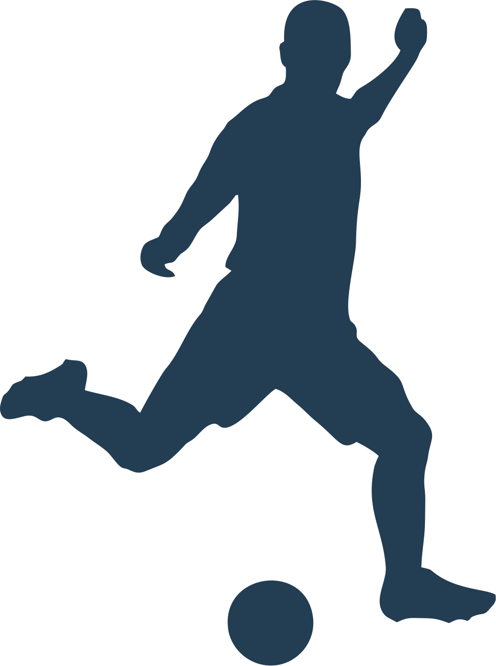 Fußball Icon