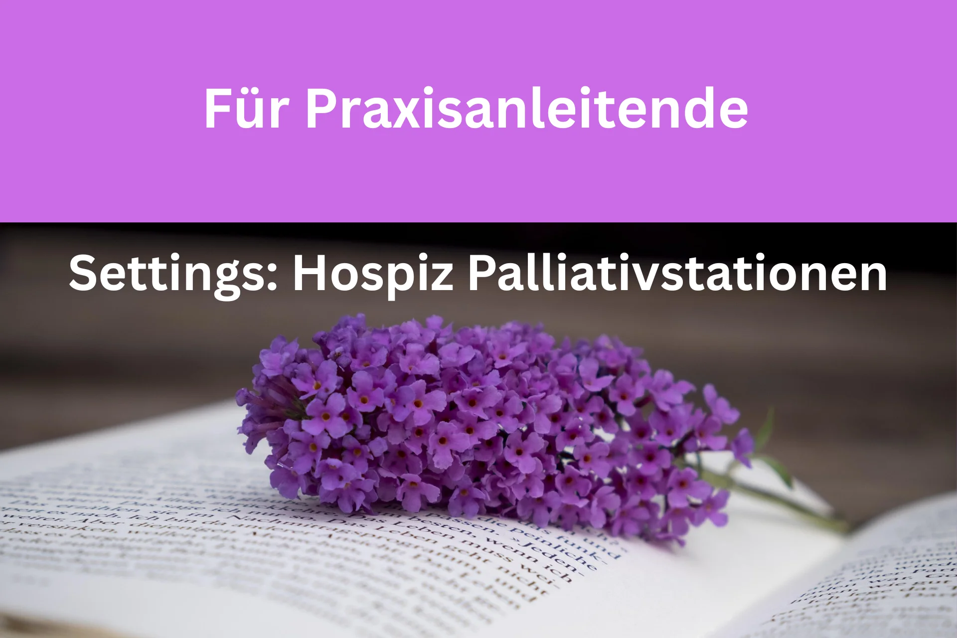 Settings Praxisanleitung